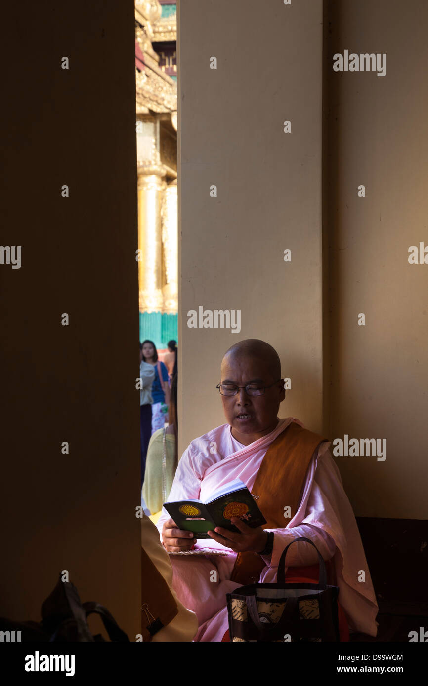 Eine buddhistische Nonne, Kopf rasiert, liest ein Andachtsbuch in der schattigen Tür eines Schreins in Rangun die Shwedagon-Pagode Komplex. Stockfoto