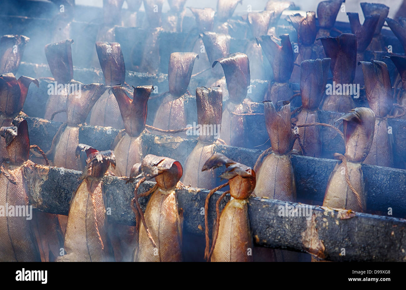 Arbroath Smokies im smokey Sonnenlicht. Stockfoto