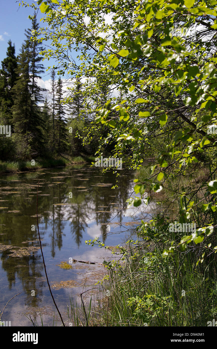 Ellenbogen Sie, Fluss, Landschaft, Fluss, Sturm, Donner, Frühling, Sommer, Wanderung, Weg, Angeln, Wald, Bauernhof, Zaun, Wolken Stockfoto