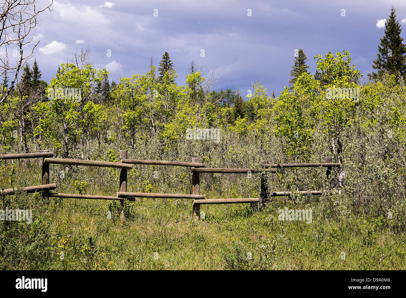 Ellenbogen Sie, Fluss, Landschaft, Fluss, Sturm, Donner, Frühling, Sommer, Wanderung, Weg, Angeln, Wald, Bauernhof, Zaun, Wolken Stockfoto