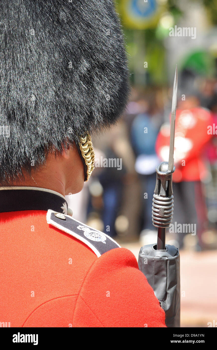 Die Farbe, die sich entlang der Mall und dem Buckingham Palace, London, Großbritannien. Zeremonielle Militär Soldat Stockfoto