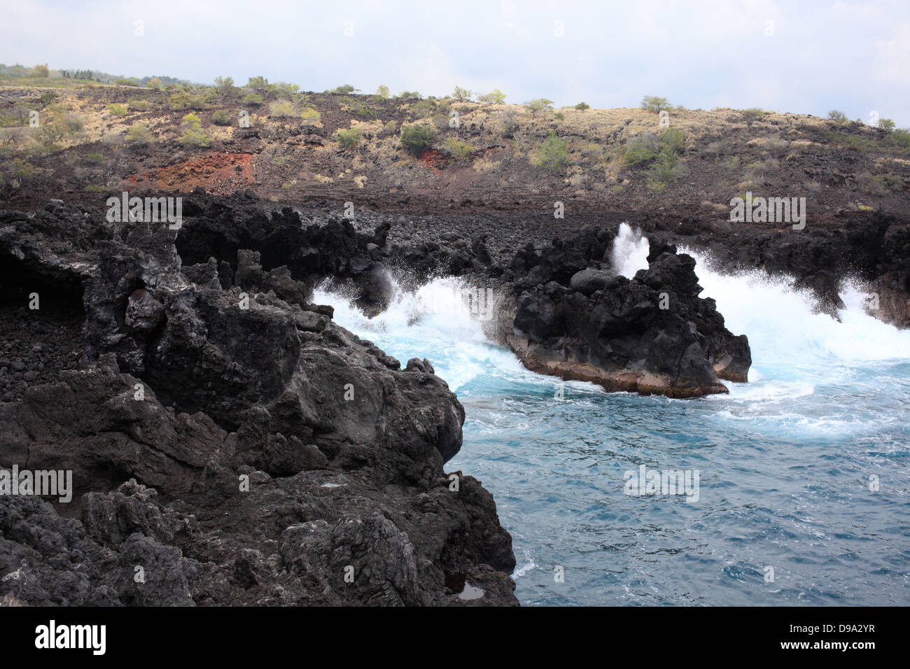 Gefrorene Lava auf einem relativ neuen Strand auf The Big Island Hawaii Stockfoto