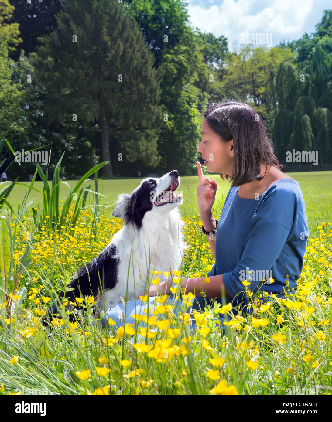 Junge Frau mit ihrem Border-Collie Hund eine Rüge im park Stockfoto