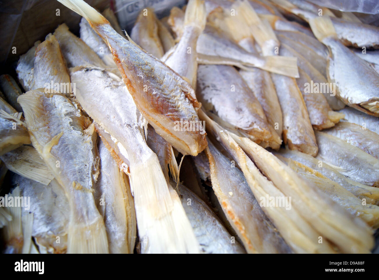Ein Haufen getrocknete Salzfisch, Umsatz in den Fischmarkt. Stockfoto