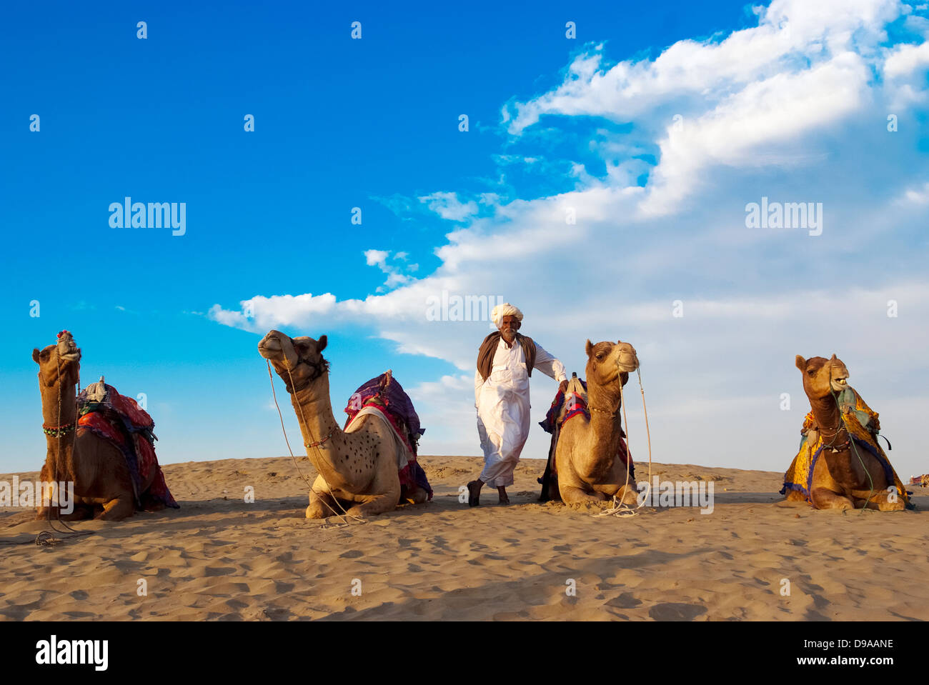 Karawanenführer und seine Herde bei Sam Sanddüne in Jaisalmer, Indien. Kamelreiten für Touristen ist eine weitere Einnahmequelle der Dorfbewohner Stockfoto