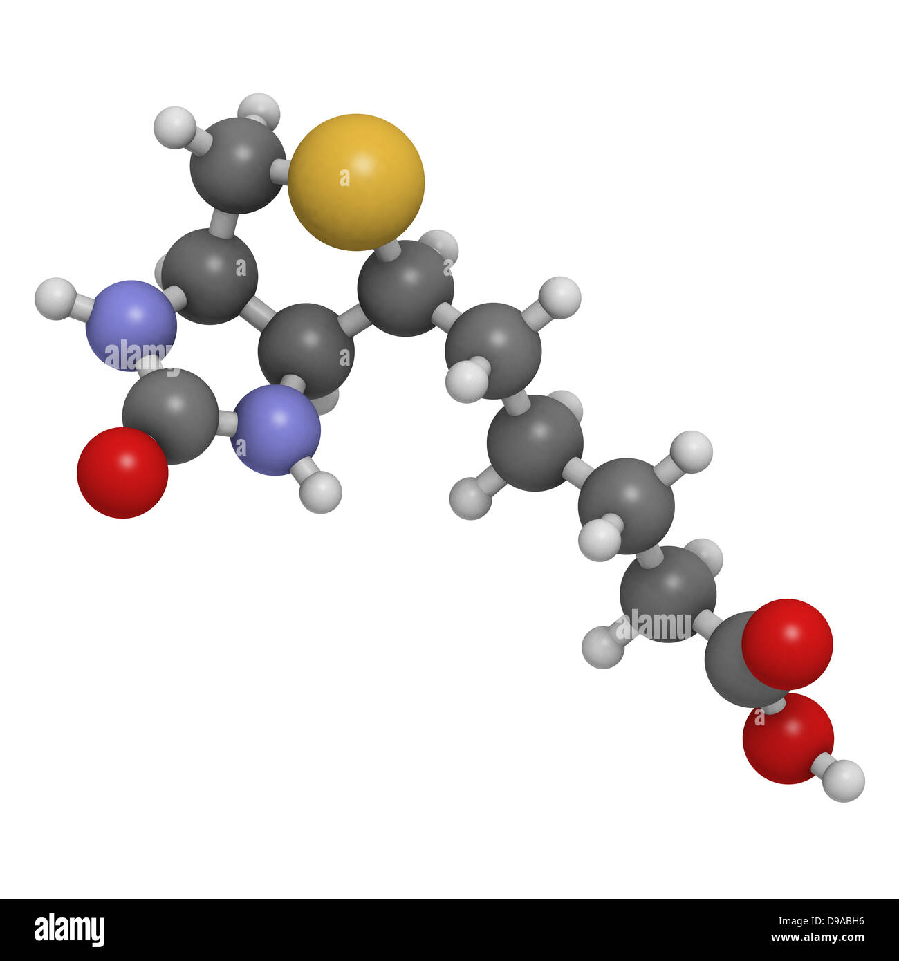 Streptavidin biotin Fotos und Bildmaterial in hoher Auflösung Alamy