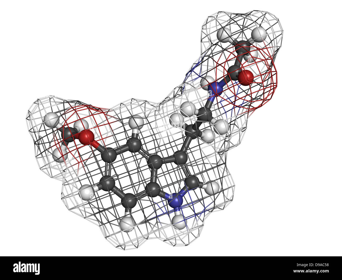 Melatonin Hormon, Molekülmodell. Melatonin spielt eine Rolle bei der Regulierung der biologischen Tageszyklus (zirkadianer Rhythmus). Stockfoto