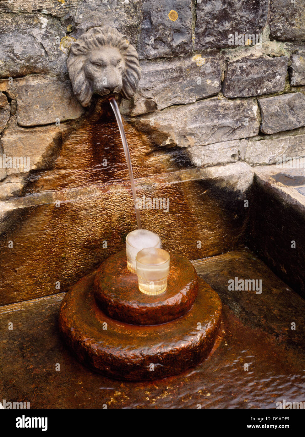 Der Löwenbrunnen Kopf liefert Trinkwasser vom Challice gut, Glastonbury, Somerset, England Stockfoto