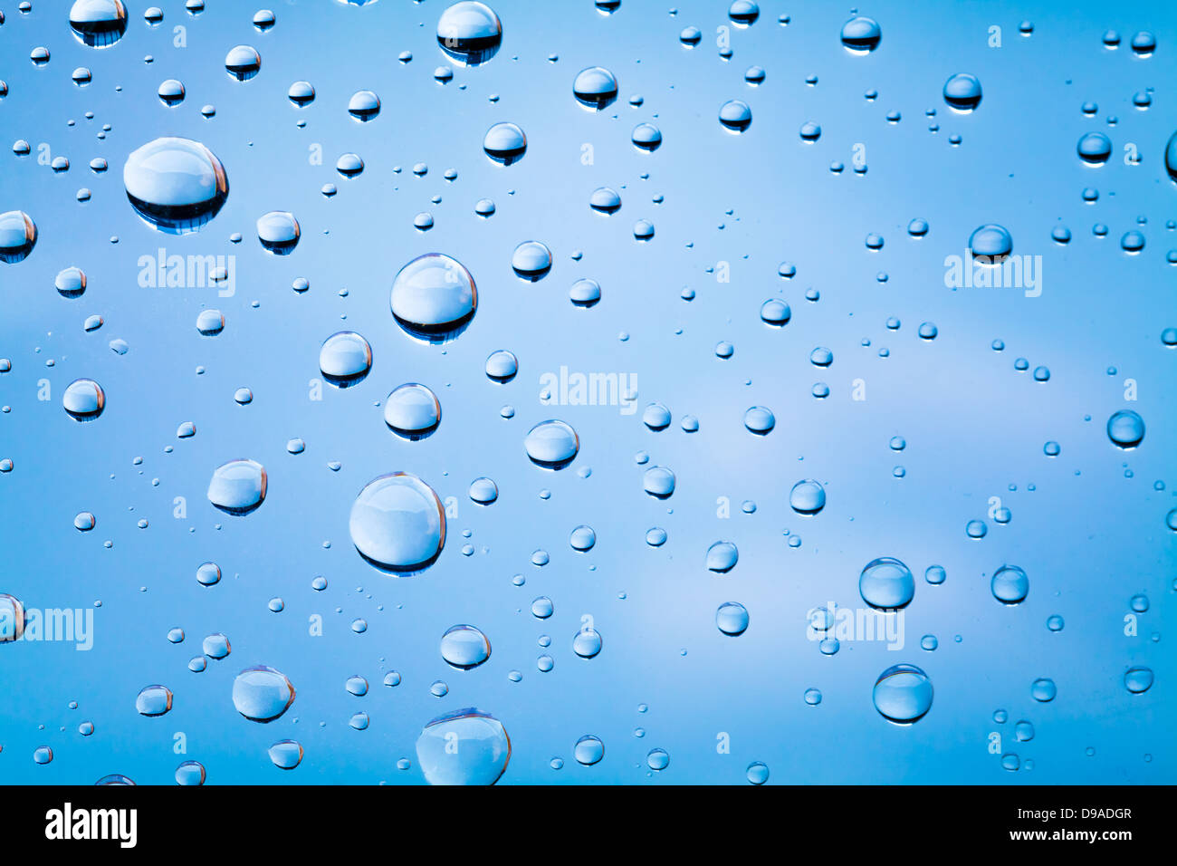 Makrofoto des Wassers sinkt auf Glas über dem blauen verschwommenen Himmel Stockfoto