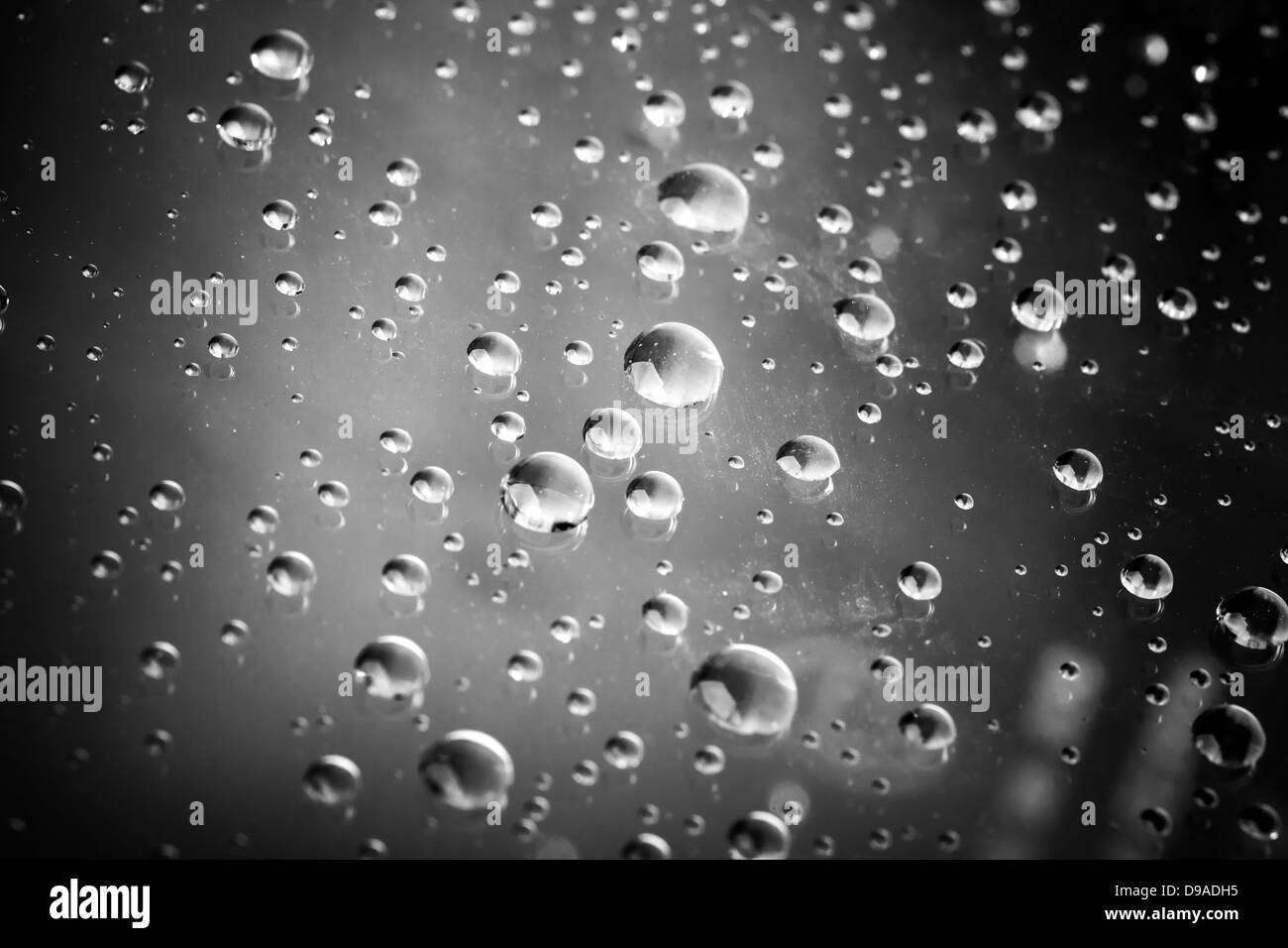 Wassertropfen auf der Glasoberfläche. Monochrome Makrofoto Stockfoto