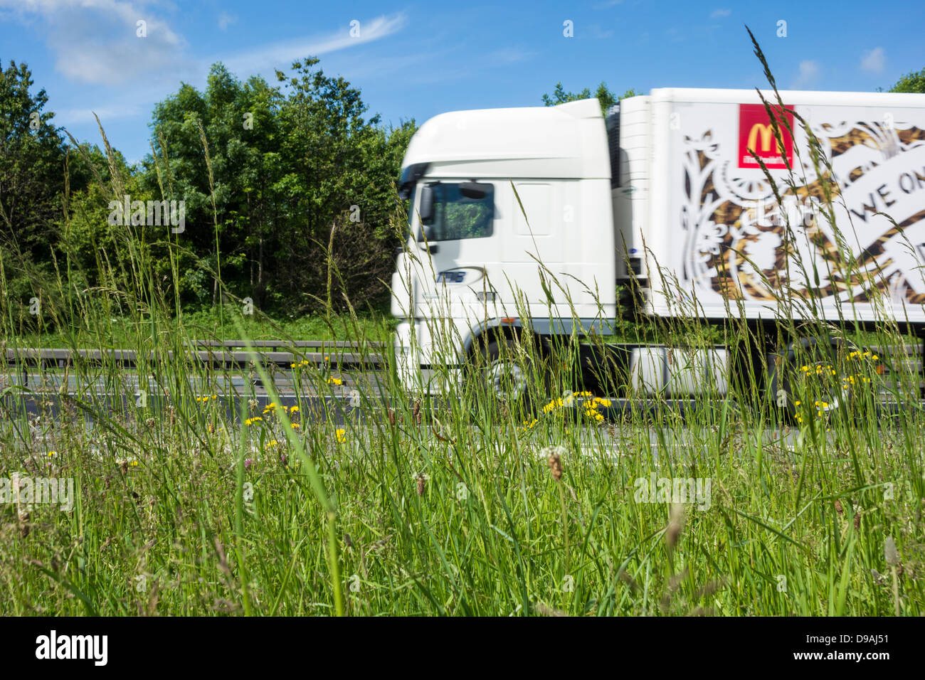 Ungeschnitten Grass und Wildblumen auf Grünstreifen der Autobahn. UK Stockfoto