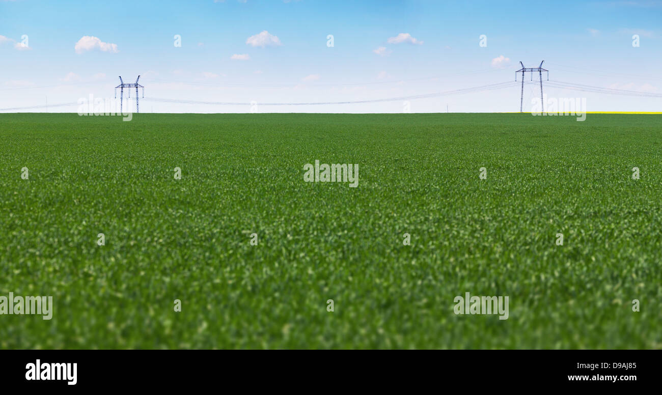 Eine große Wiese und Stromleitungen - Industrielandschaft Stockfoto