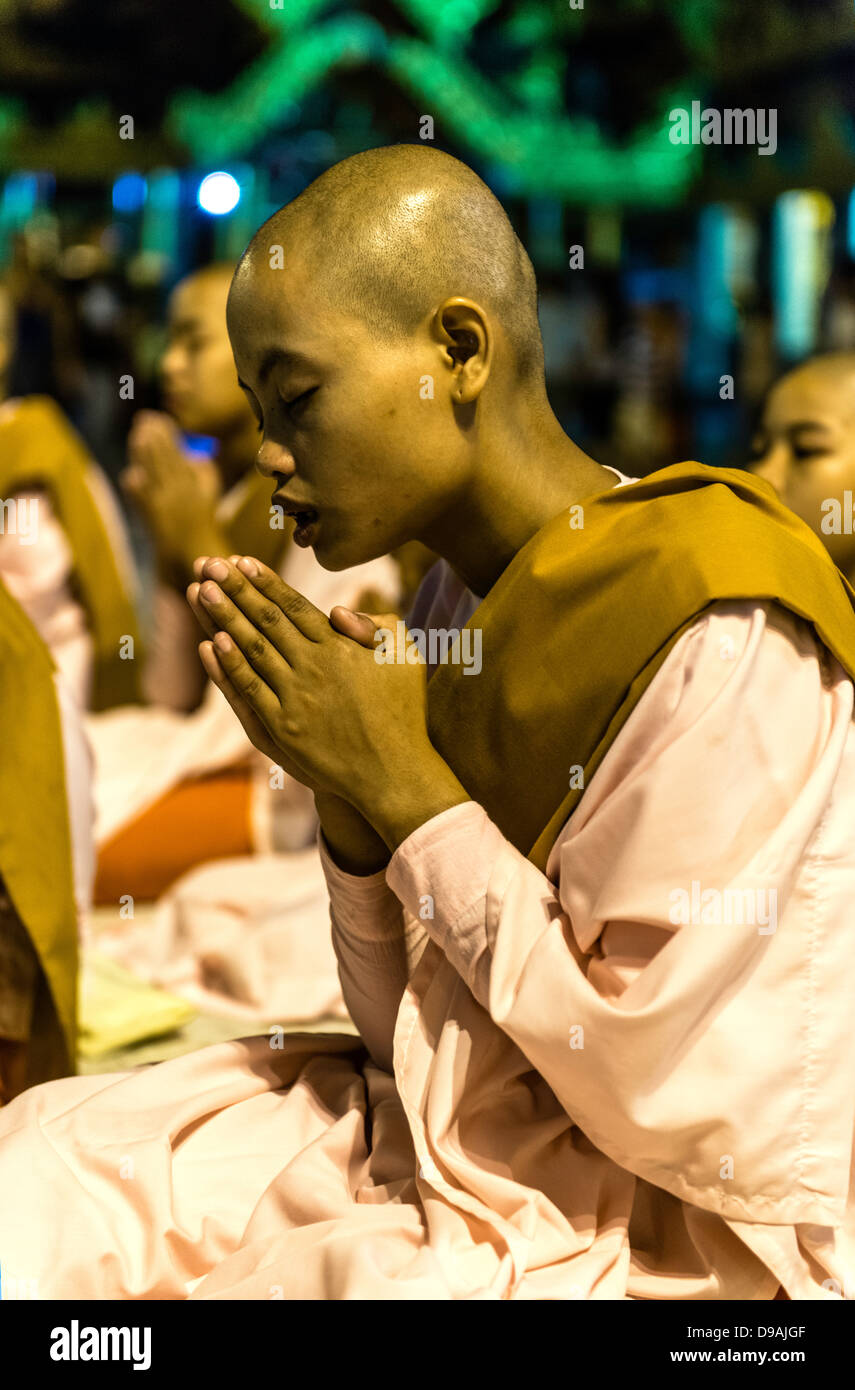 Nonne beten buddhistischen Tempel Shwedagon Pagode oder große Dagon Pagode oder Goldene Pagode Yangon (Rangoon) Burma Myanmar Stockfoto