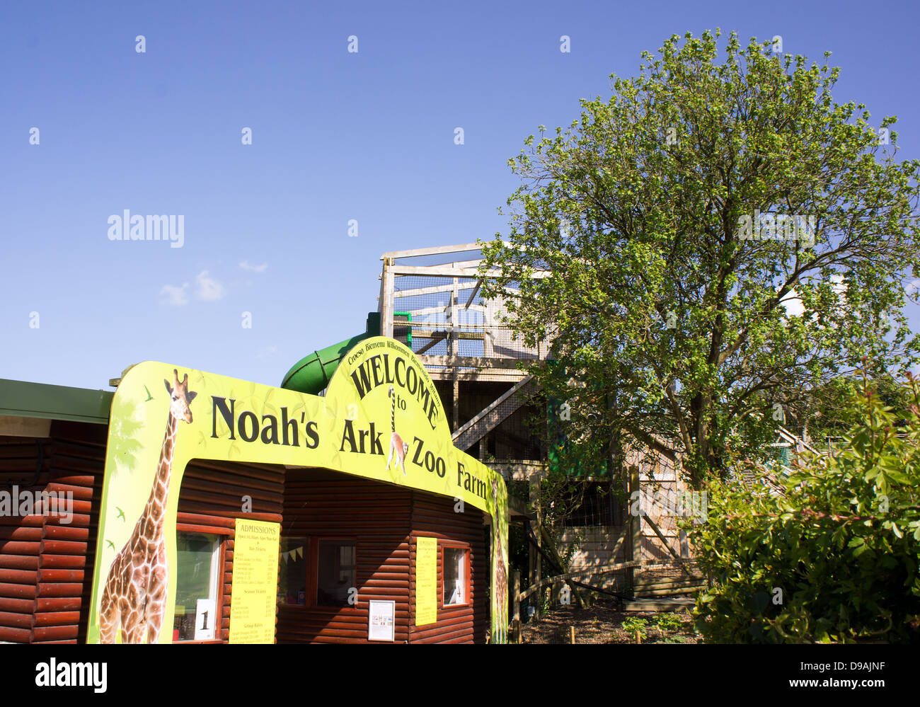 Noahs Ark Zoo Farm, Bristol, England, UK Stockfoto