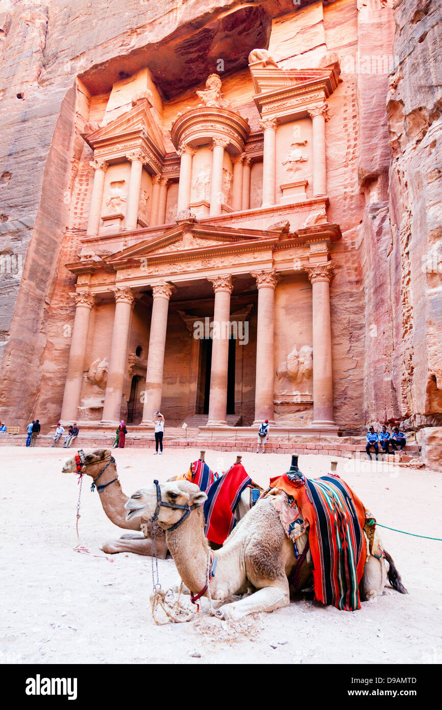 Kamele vor Al Khazneh in Petra, Jordanien Stockfoto