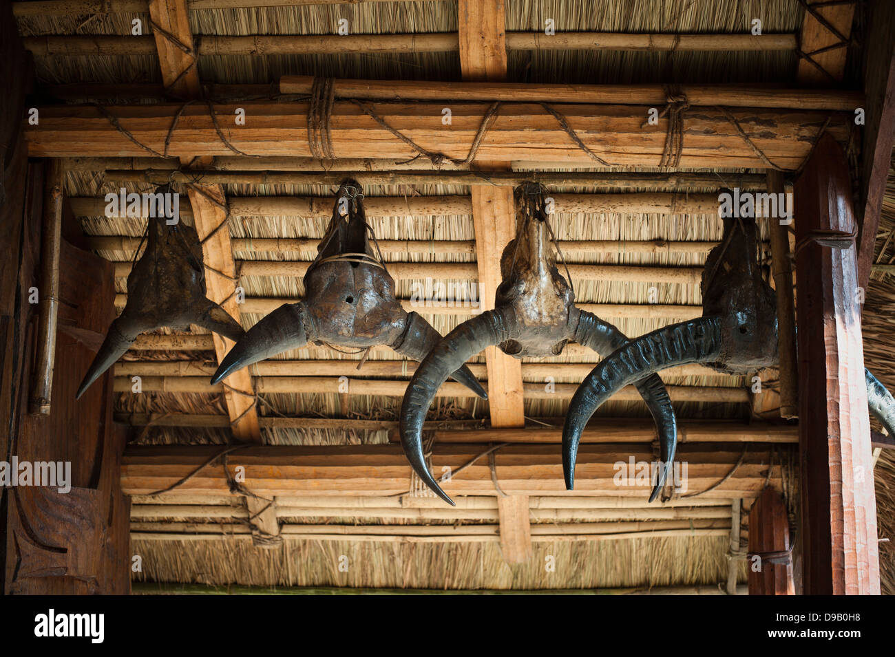 Schädel von gehörnten Tieren hängen vom Dach einer Hütte, Kohima, Nagaland, Indien Stockfoto