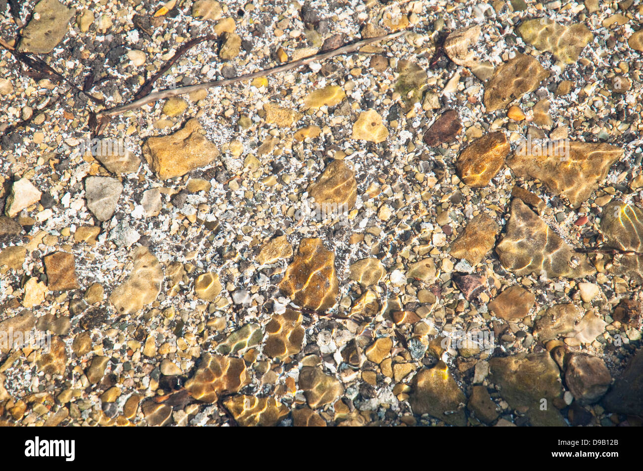 Klaren flachen Süßwasser in einem englischen Cotswolds-Stream mit Kräuselung gemustert Kieselsteine aus dem gefleckten Sonnenlicht. Stockfoto