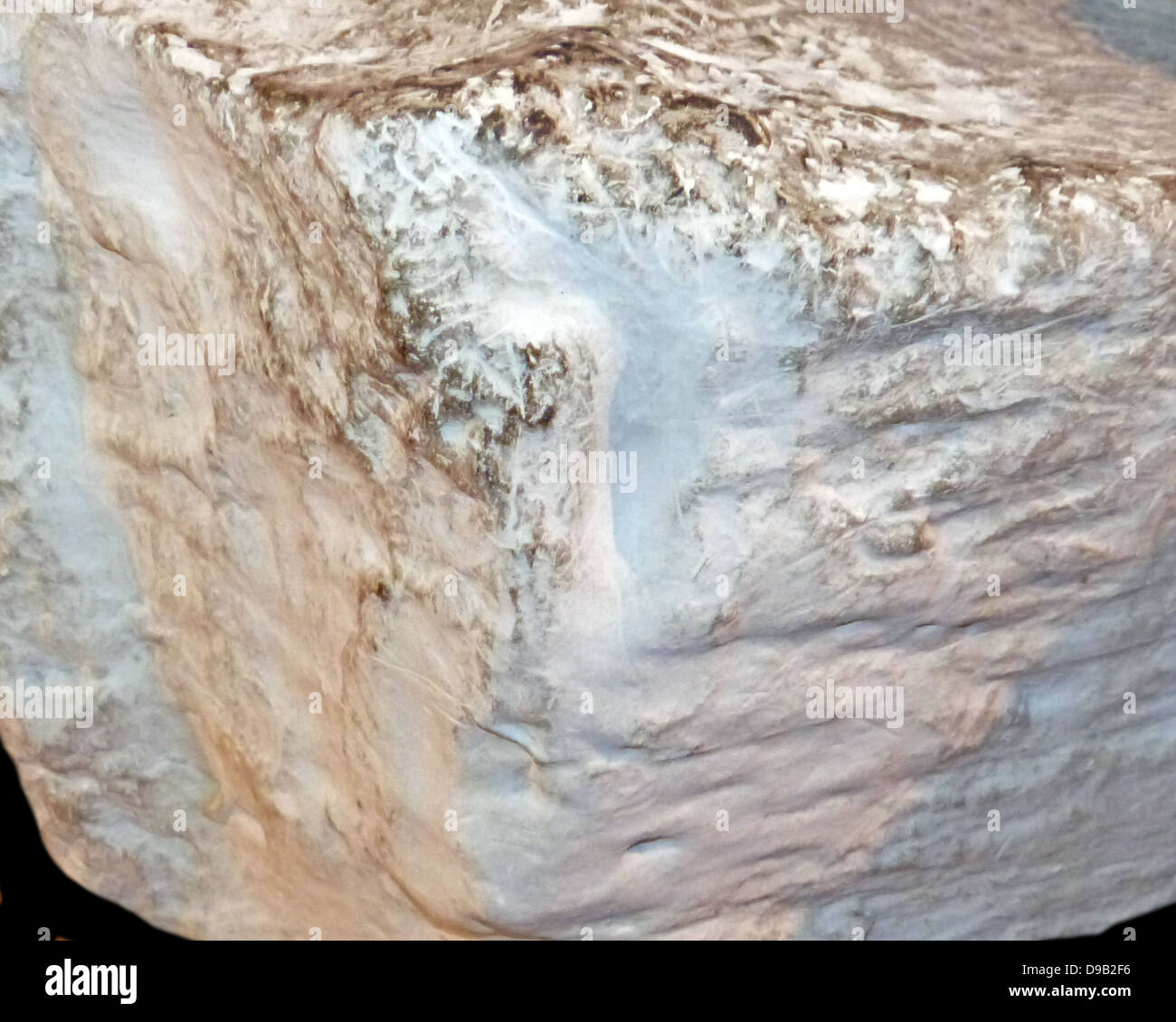 Kreide.  Wenn winzige Organismen Leben in flachen Meeren sterben und sinken auf den Boden, ihre Skelette sich zusammenzuschließen, um machen Kreide. Stockfoto