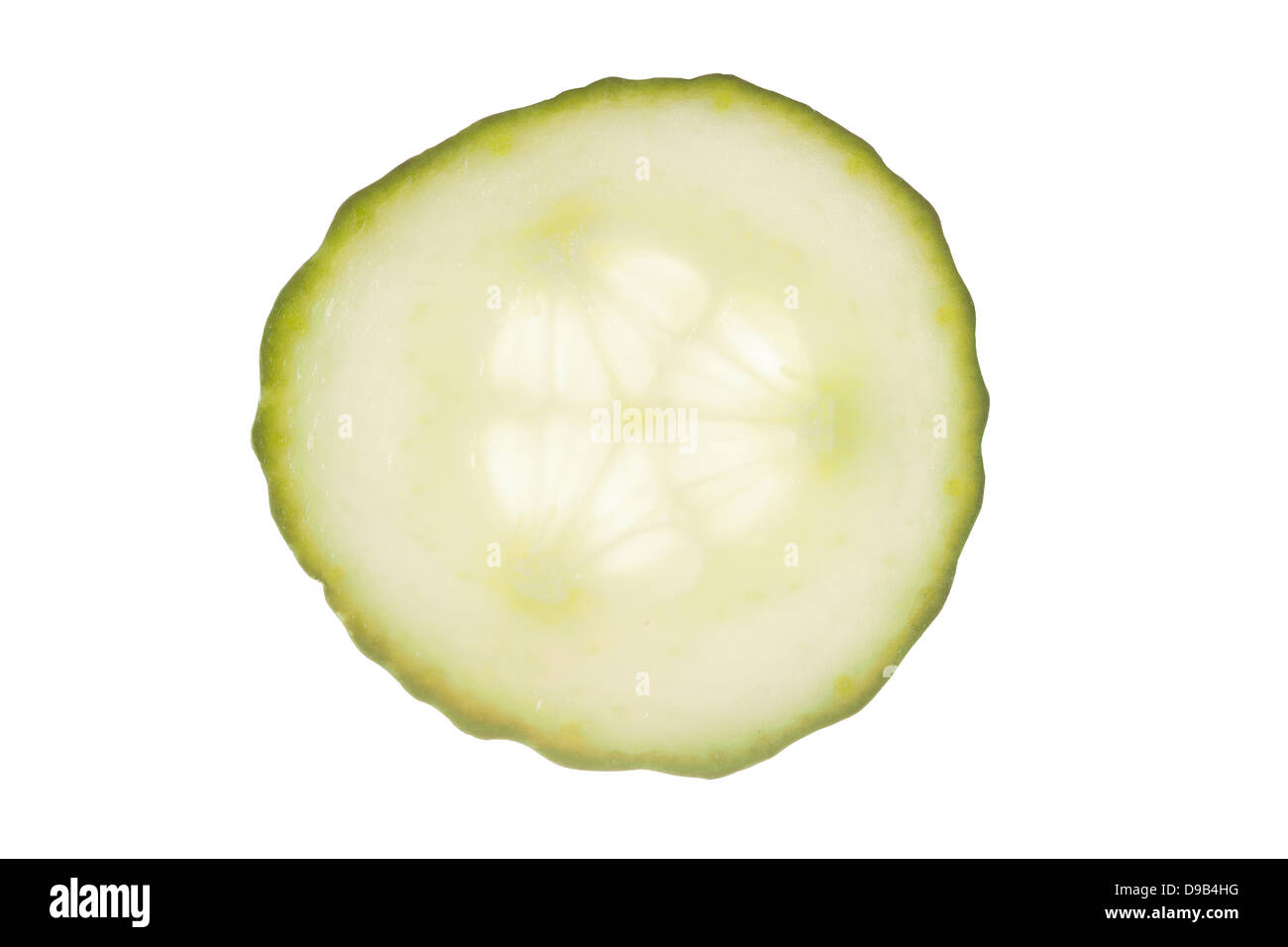 Runde Scheibe grüne Gurke isoliert auf weißem Hintergrund Stockfoto
