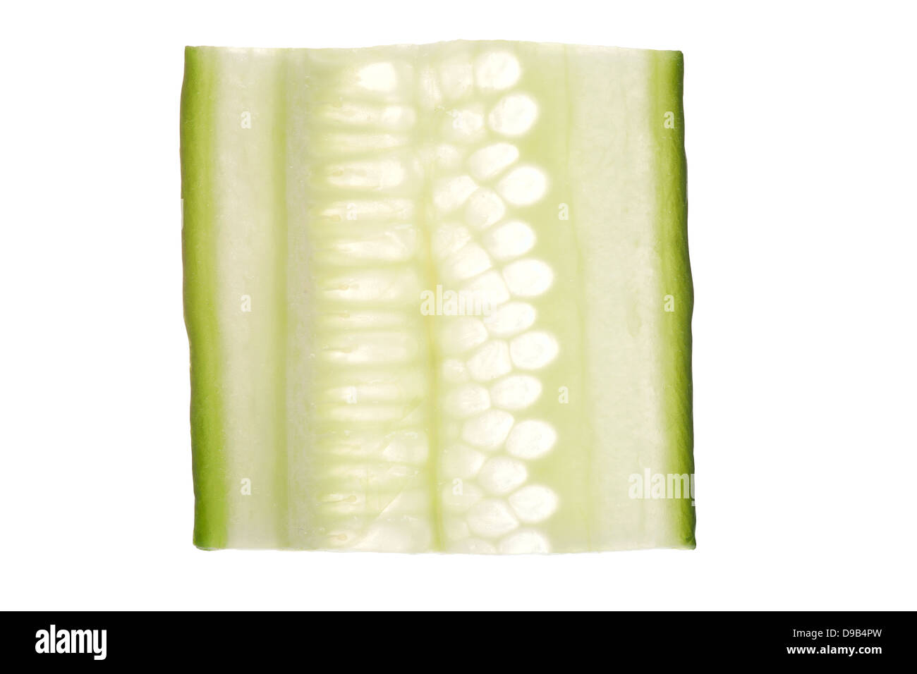 quadratische Scheibe grüne Gurke isoliert auf weißem Hintergrund Stockfoto