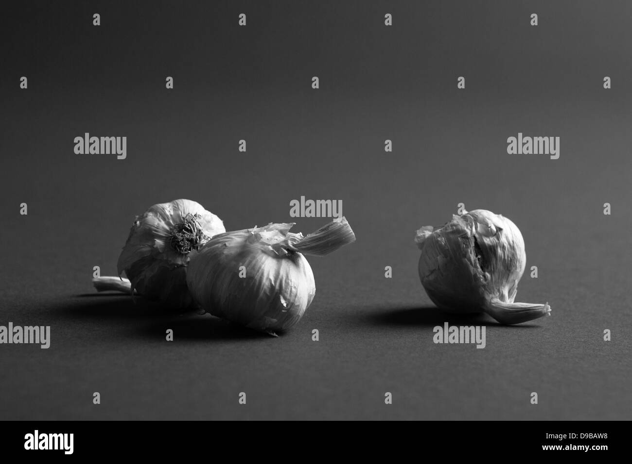 Drei Zwiebeln Knoblauch platziert auf einem dunklen Studio-Hintergrund in schwarz / weiß Stockfoto