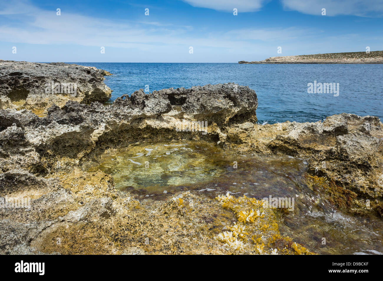 Felsenpool mit rauschenden Wasser und Algen Stockfoto