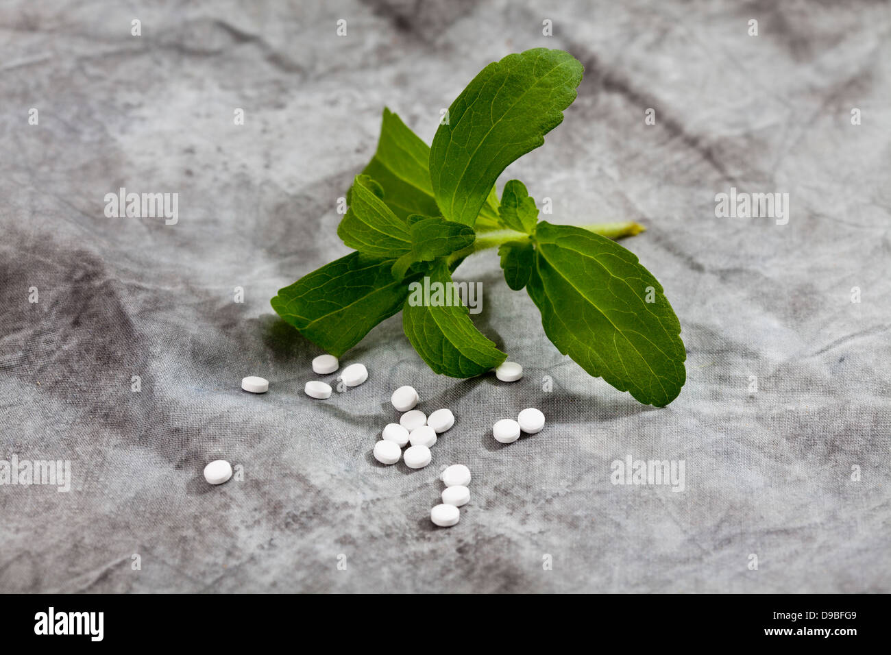 Stevia Rebaudiana mit Süßstoff Tabletten auf Textil Stockfoto