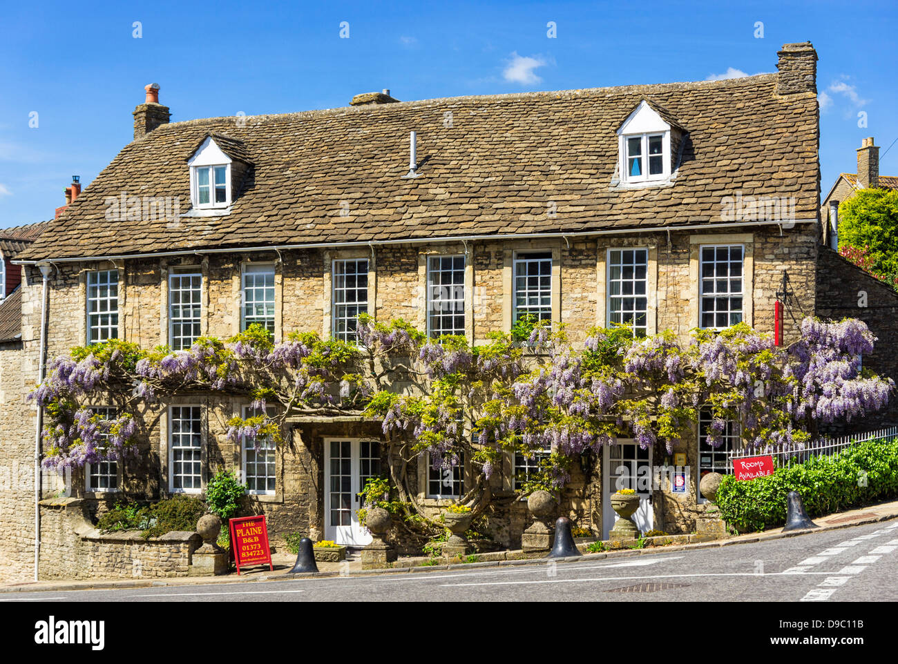 Blauregen wächst auf eine ziemlich alte B & B in Norton St Philip, Mendip, Somerset, Großbritannien Stockfoto