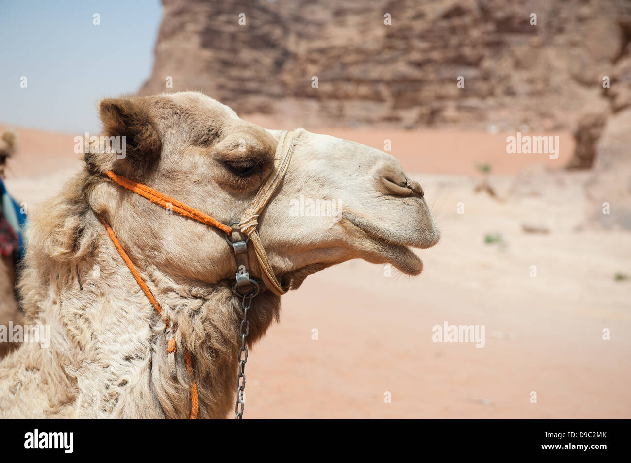 Wadi Rum, Jordanien Stockfoto