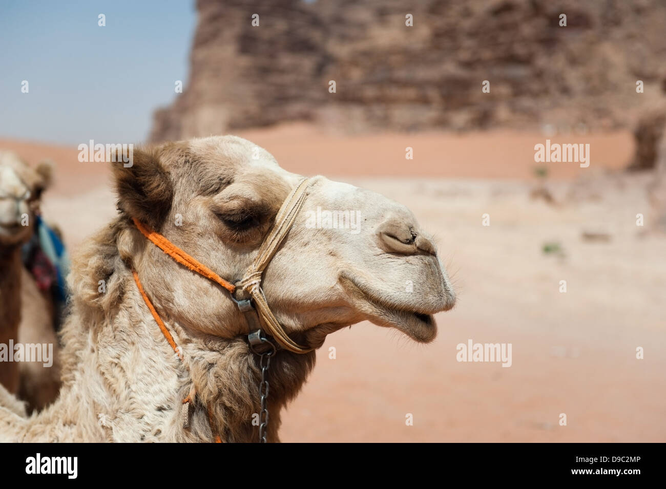 Wadi Rum, Jordanien Stockfoto