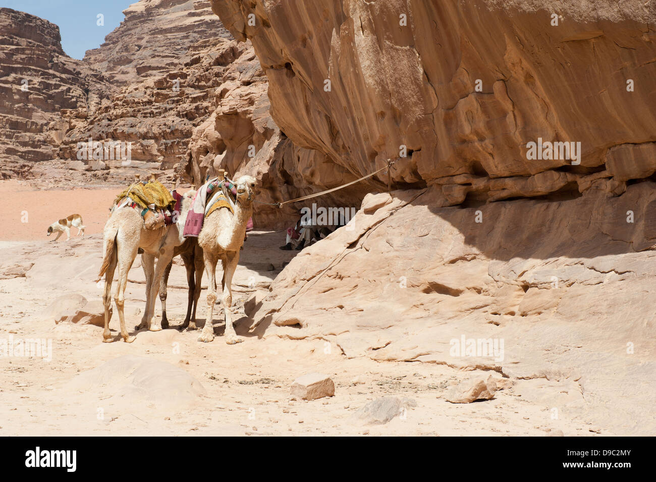 Wadi Rum, Jordanien Stockfoto