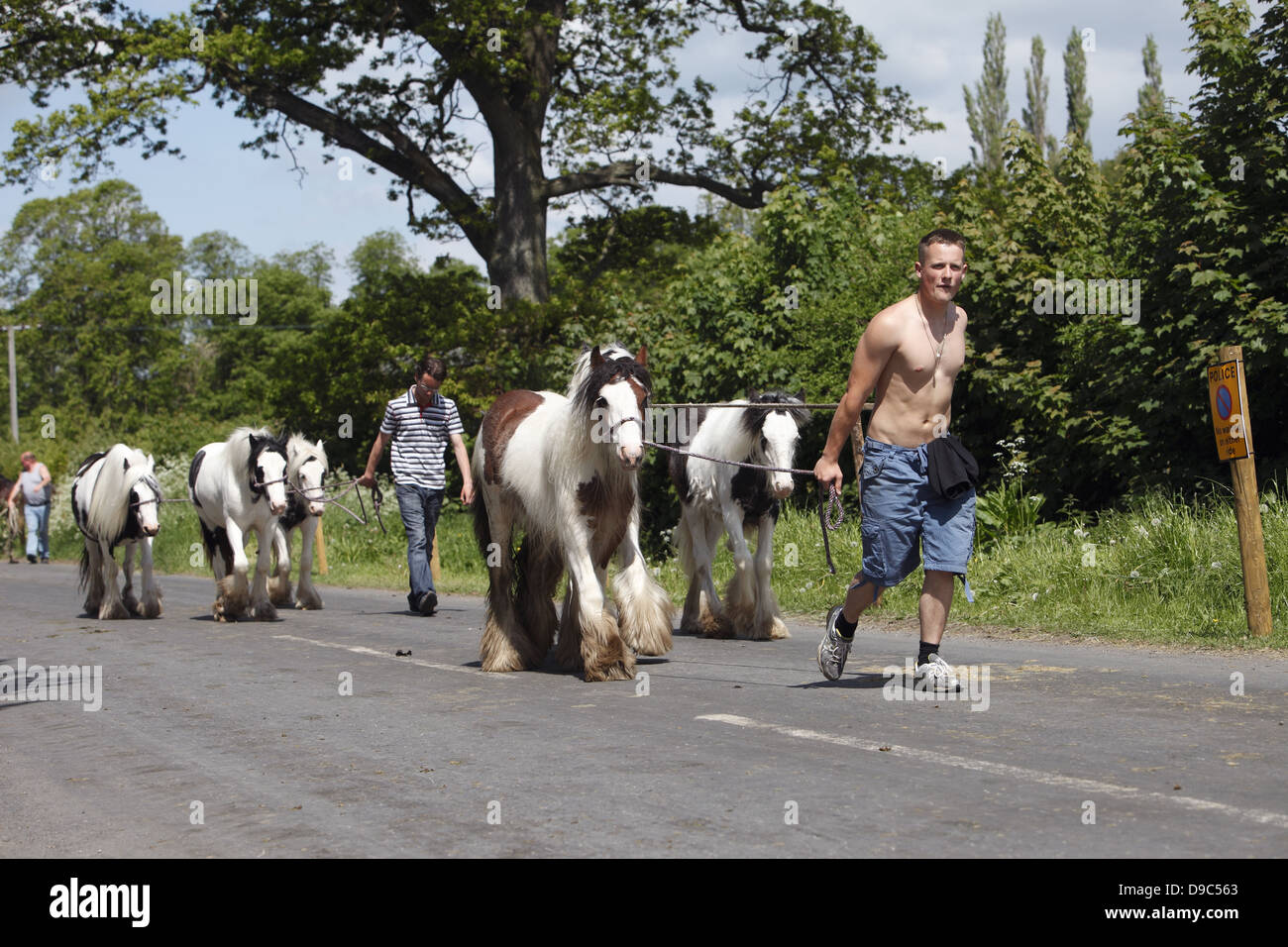 Zigeuner führen ihre Pferde "blinkende Lane" oder "mad Meile" zu zeigen, um Käufer in Appleby Horse Fair, in Cumbria, England Stockfoto