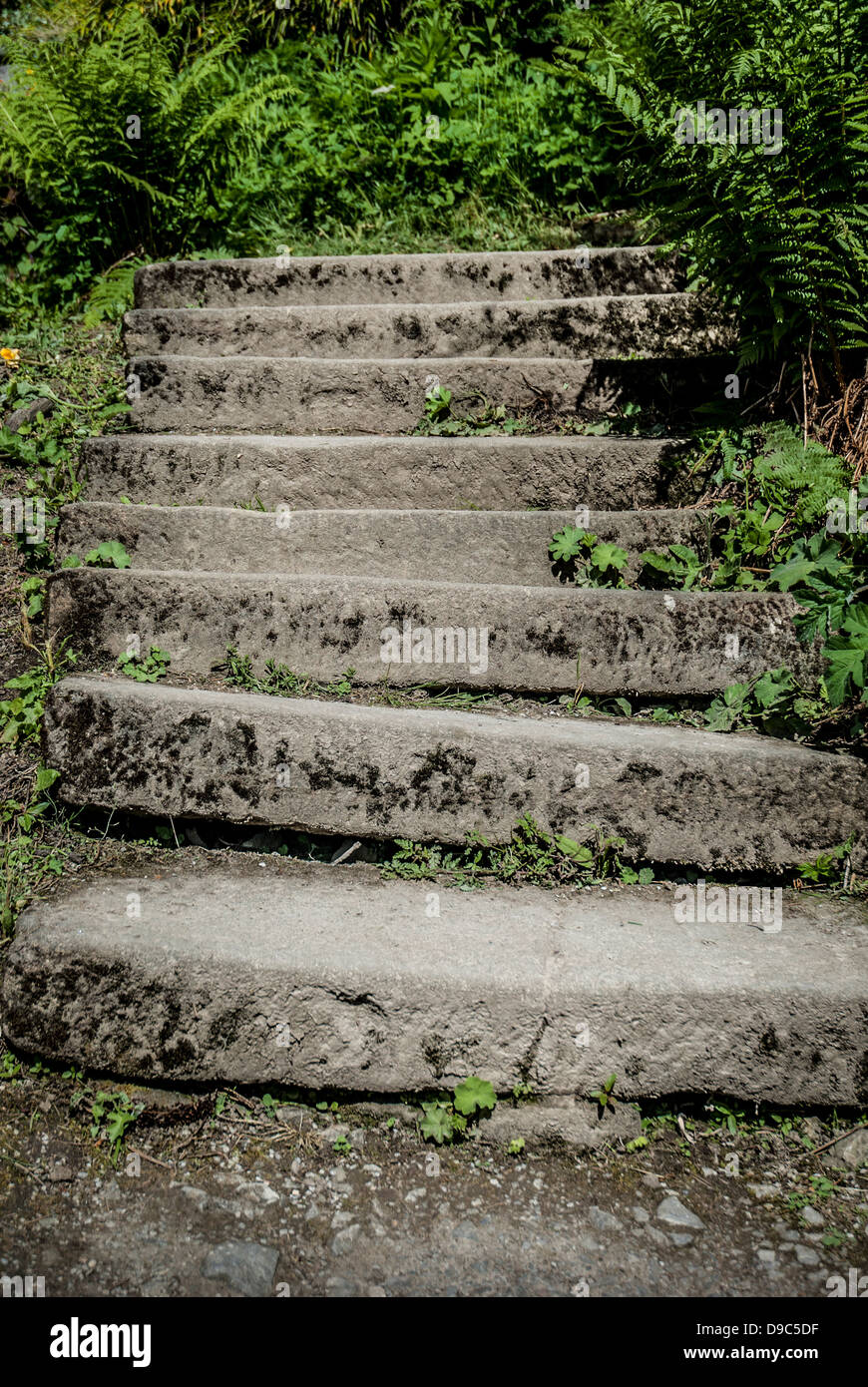 Rustikalen Steinplatten bilden eine Garten Treppe. Stockfoto