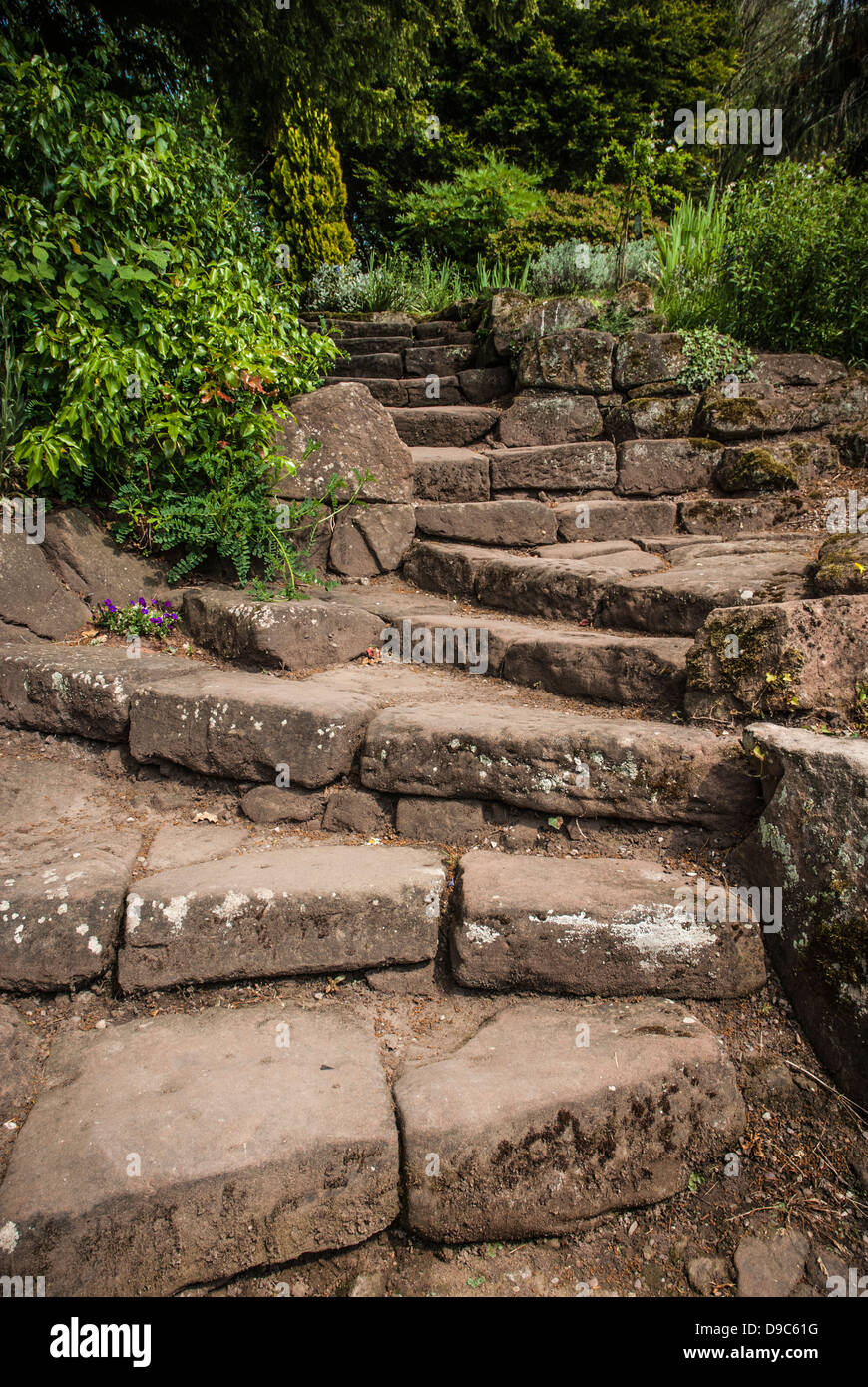 Steilen Sandstein Gartenweg. Stockfoto