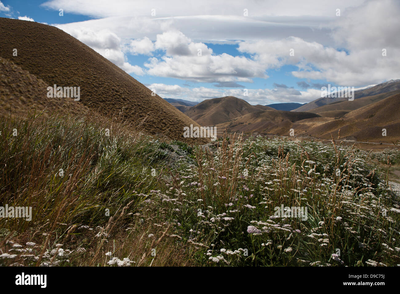 Bergige Landschaft mit Hügeln und Vegetation, in der Nähe von Cromwell, Central Otago, Südinsel, Neuseeland Stockfoto