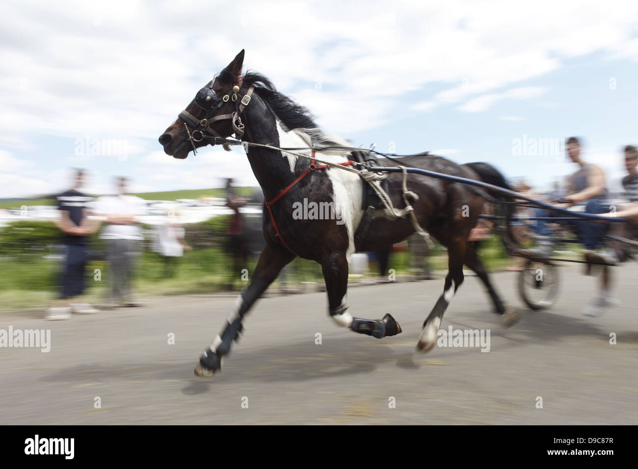 Zigeuner fahren ihre Pferde auf dem "blinkende Lane" oder "mad Meile" zu zeigen, um Käufer in Appleby Horse Fair, in Cumbria, England Stockfoto