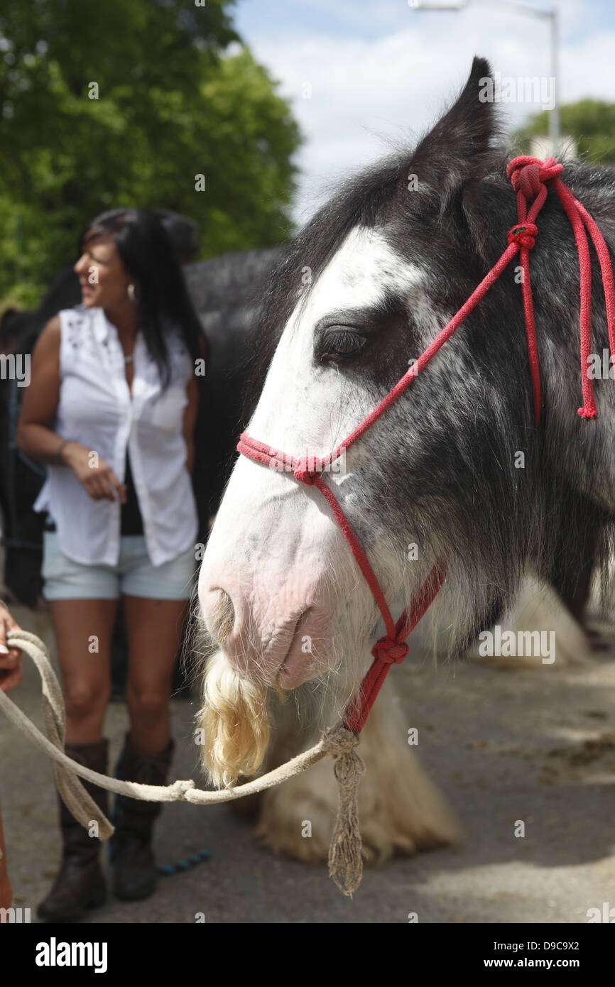 Zigeuner parade ihre Pferde und Ponys zum Verkauf im Zentrum der Stadt am Appleby Horse Fair, in Cumbria, England Stockfoto