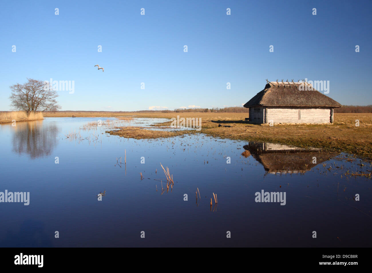 Fischerhütte am Suitsu Fluss, Matsalu Natur Reserve, Estland, Europa Stockfoto