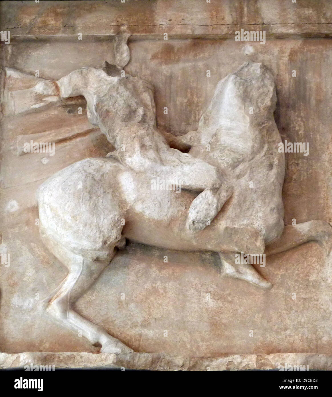 Amazon auf dem Pferd (evtl. Königin Antiope), in einem Teil des Parthenon Friese am Parthenon/Akropolis Museum dargestellt, Athen Stockfoto