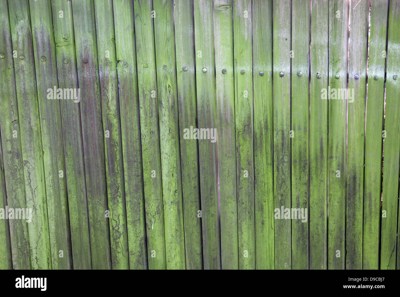 Grünliche Zaun Stockfoto