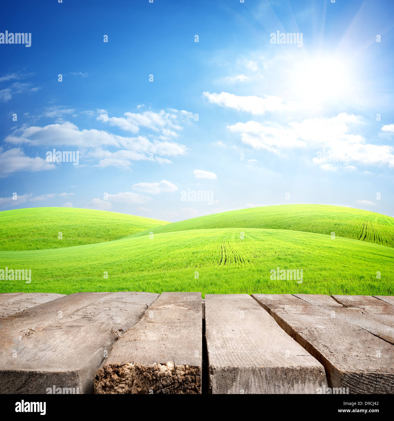 Tabellen- und Feldnamen frisches Gras auf einem Hintergrund des blauen Himmels Stockfoto
