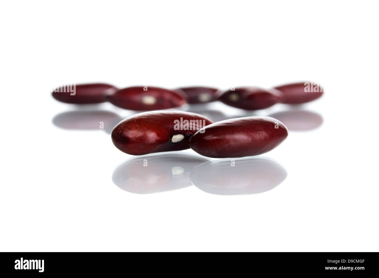 Rote Kidney-Bohnen Stockfoto