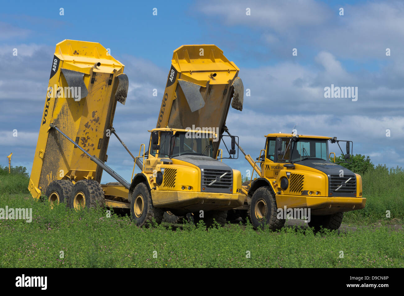 Zwei gelbe Volvo Trucks mit angehobenen Dump auf Wiese an sonnigen Tag Stockfoto