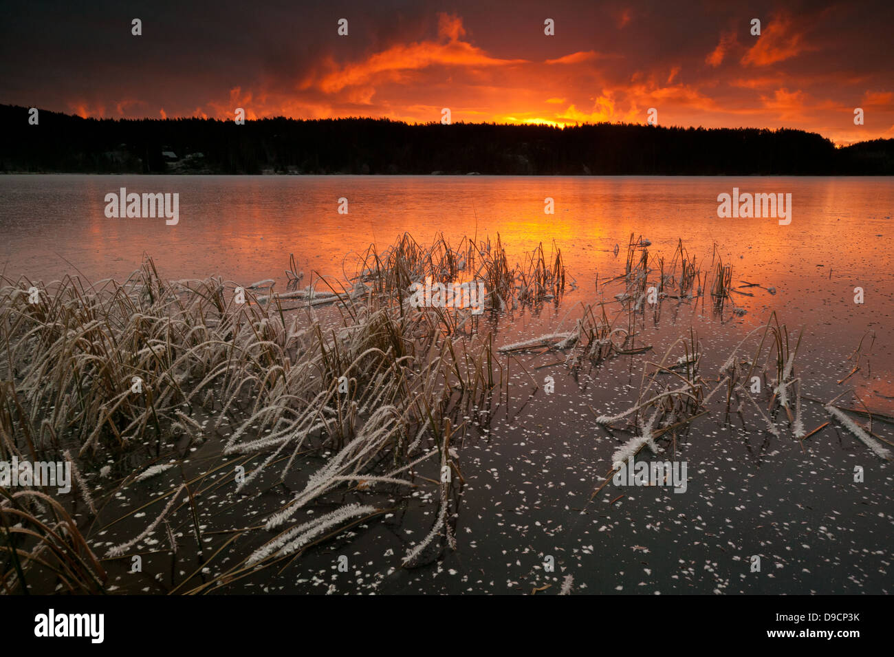 Wunderschöne goldene Stunde an einem Wintermorgen am See Ravnsjø in Østfold, Norwegen. Der See ist ein Teil des Wassers, das System namens Morsavassdraget. Stockfoto