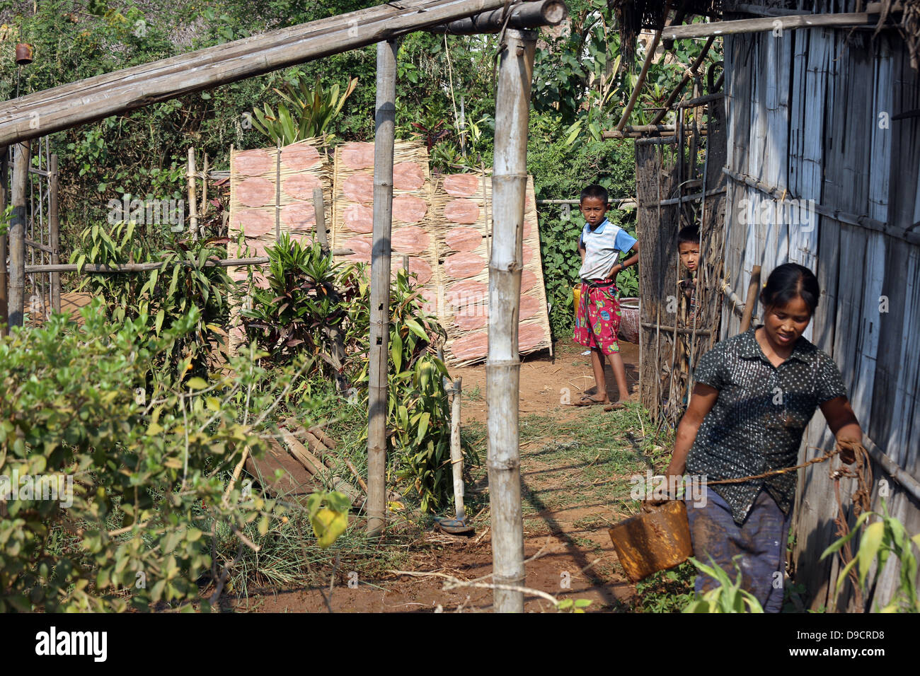 Frisch zubereitete Reis-Cracker, die Trocknung auf Bambus-Racks auf der Farm der Familie am Inle Lake Myanmar Südostasien Stockfoto