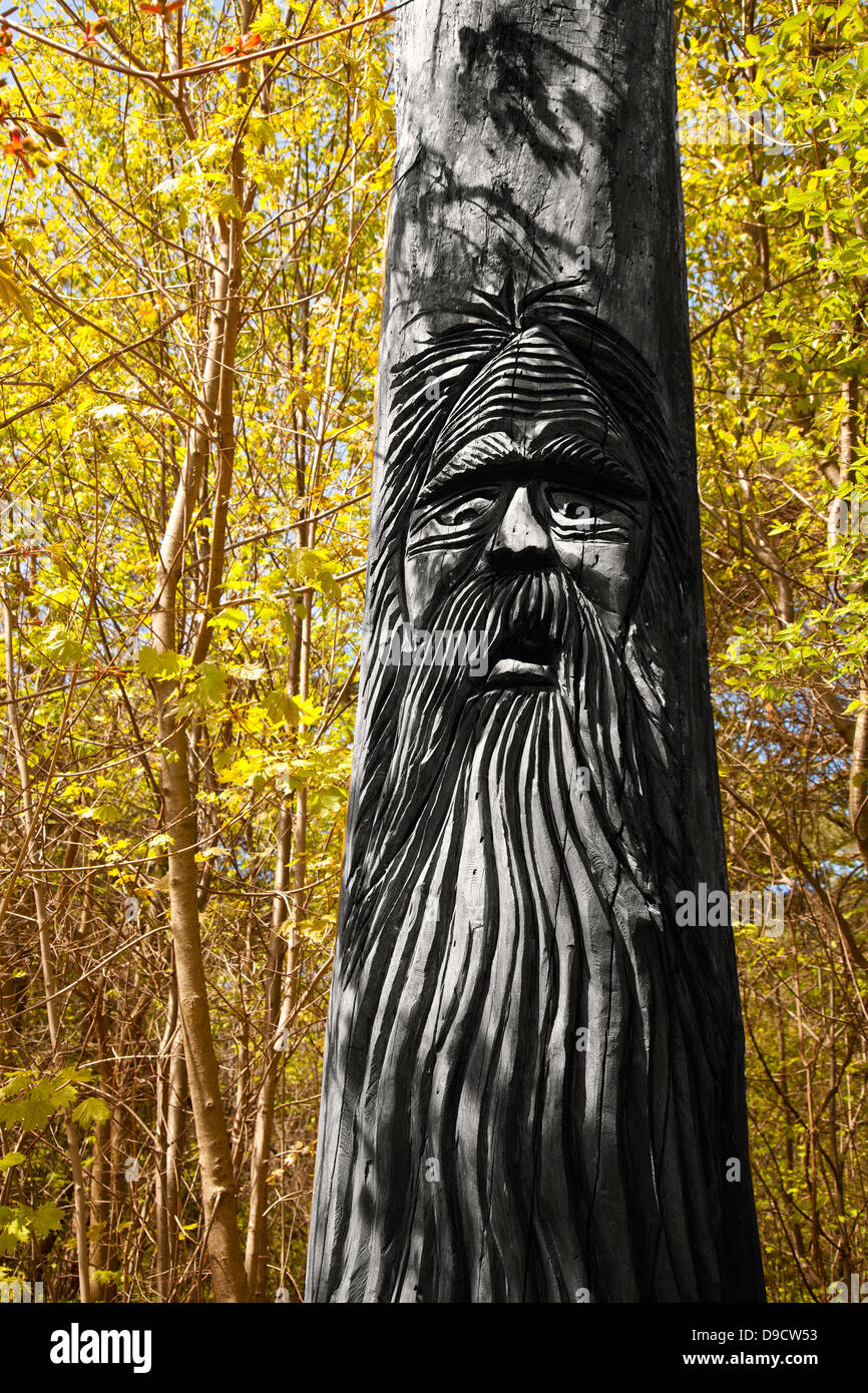 Baum der alten schnitzen distressed Mann Stockfoto