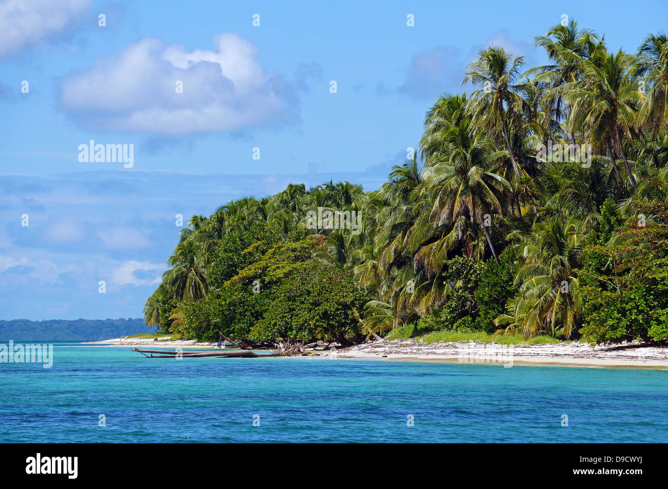 Exotischen Strand mit Dichter Vegetation auf den Zapatillas Inseln, Bocas del Toro, Karibik, Panama Stockfoto