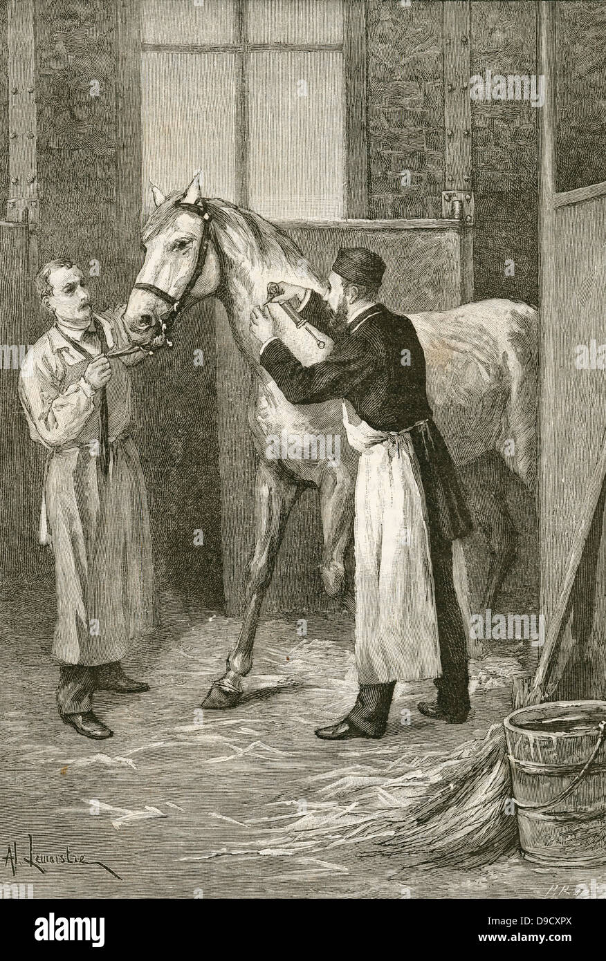 (Pierre Paul) Emile Roux (1853-1933) an der Instut Pasteur, Paris, Entfernen von Serum von einem Pferd während seiner Experimente ein Impfstoff für Diptheria zu finden. Gravur, Paris, 1895. Stockfoto