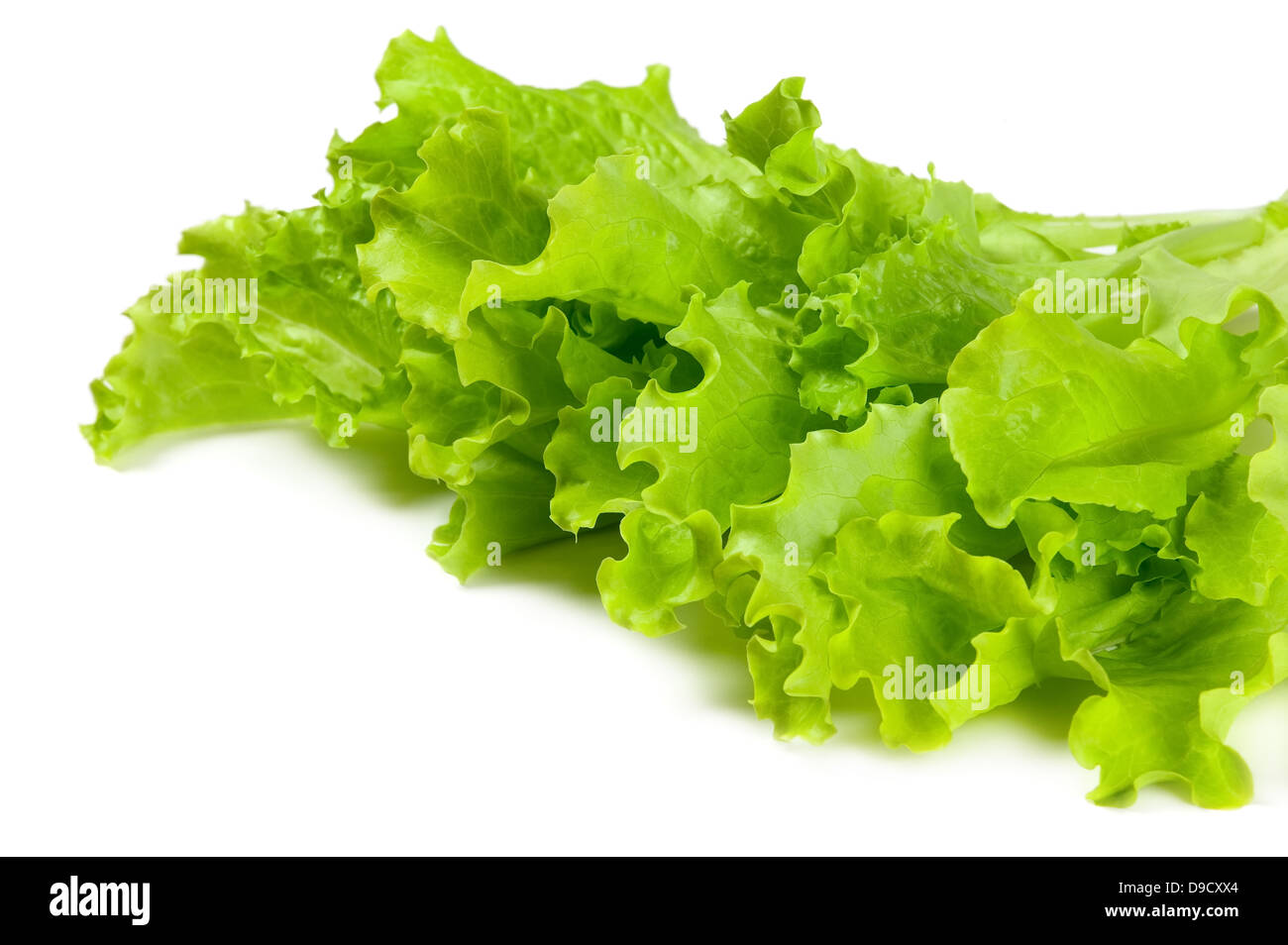 Frisch und Grün Salat auf weißem Hintergrund, Food-Konzept Stockfoto