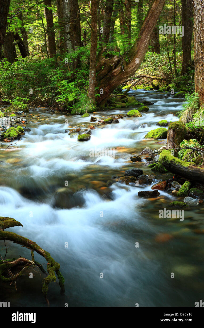 Fluss in Chubu-Sangaku Nationalpark, Präfektur Nagano Stockfoto